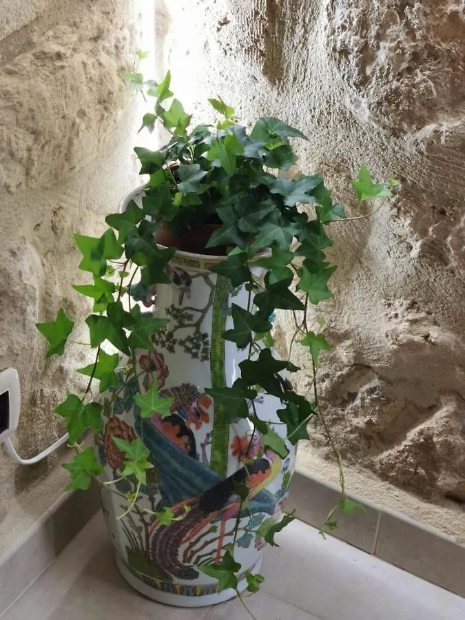 Santa Lucia Apartment Bari